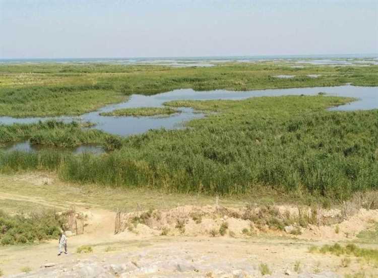 Роль водно-болотных угодий в сохранении биоразнообразия