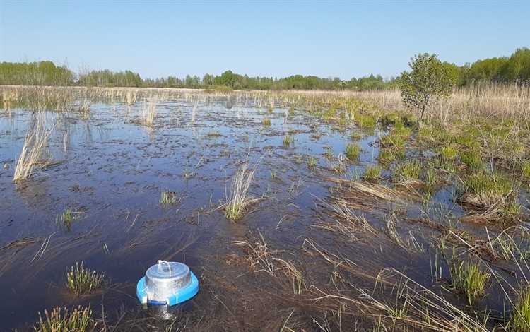 Раздел 2: Последствия промышленного загрязнения водных ресурсов