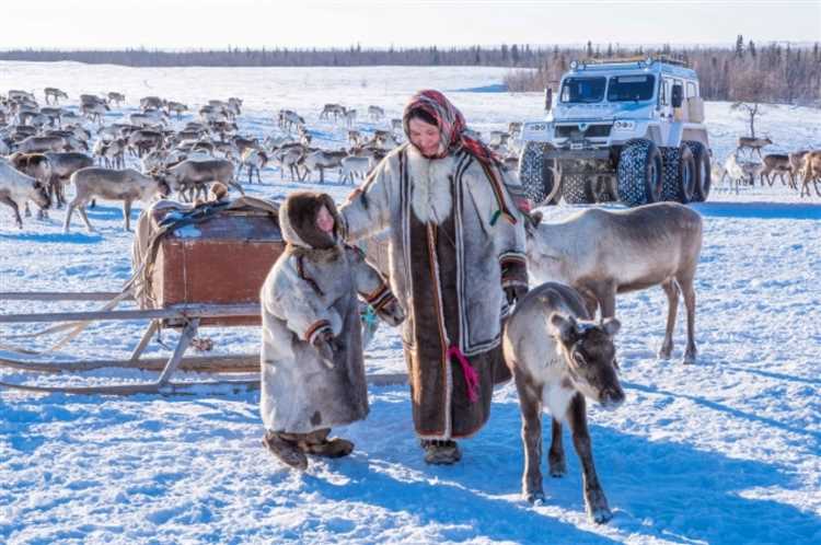 Оленеводство и его важность в истории Сибири