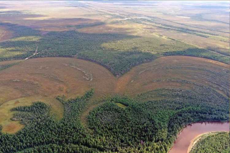 Первые поселения