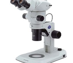 Мастерство получения высокочастотных изображений при использовании стереомикроскопа Olympus Szx7